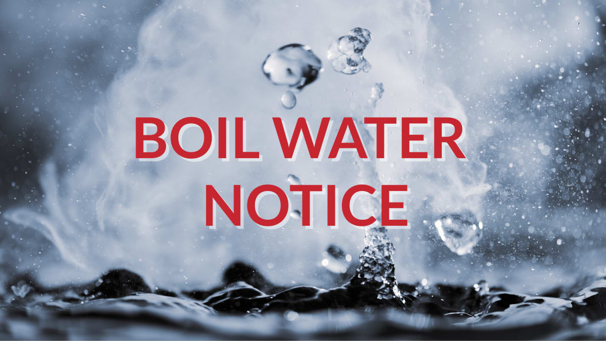 Nurse Saves Teen's Life After Highway Crash in Florida - Image 5