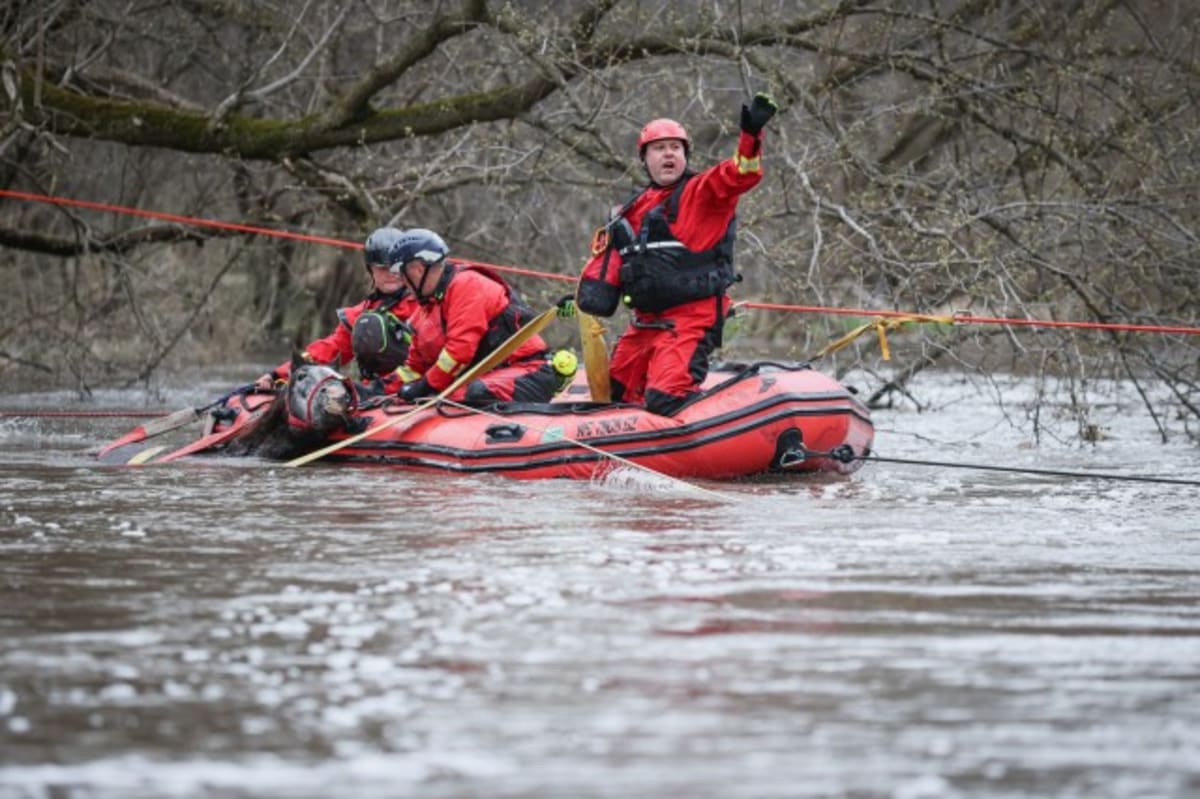 Rescuers Save Stranded Horse From 15-Foot Floodwaters - Image 2