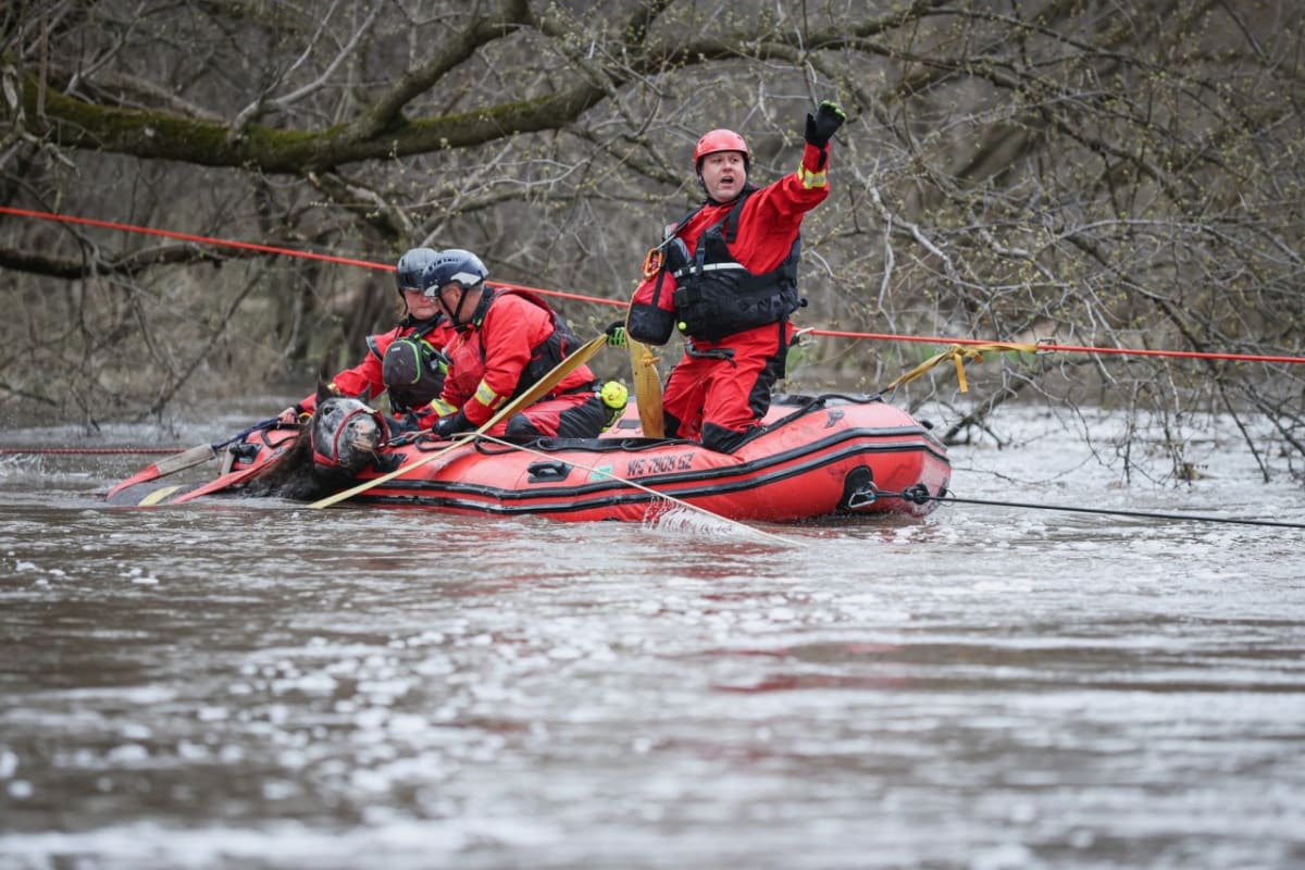 Rescuers Save Stranded Horse From 15-Foot Floodwaters