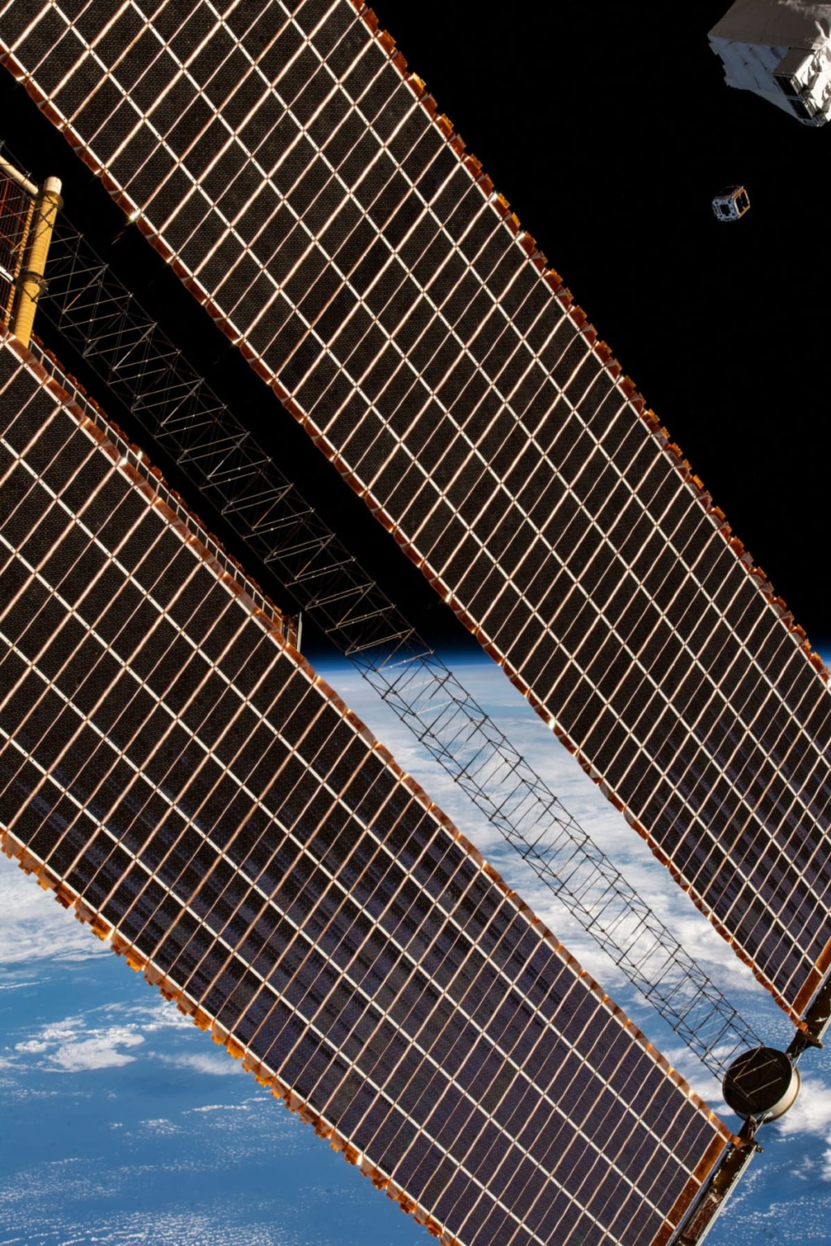 Space Station Bacteria Study Could Save Millions of Hearts - Image 5