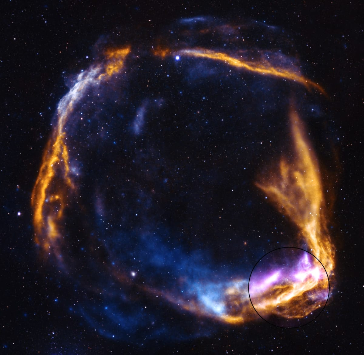 NASA Captures Stunning New View of Ancient Supernova - Image 2