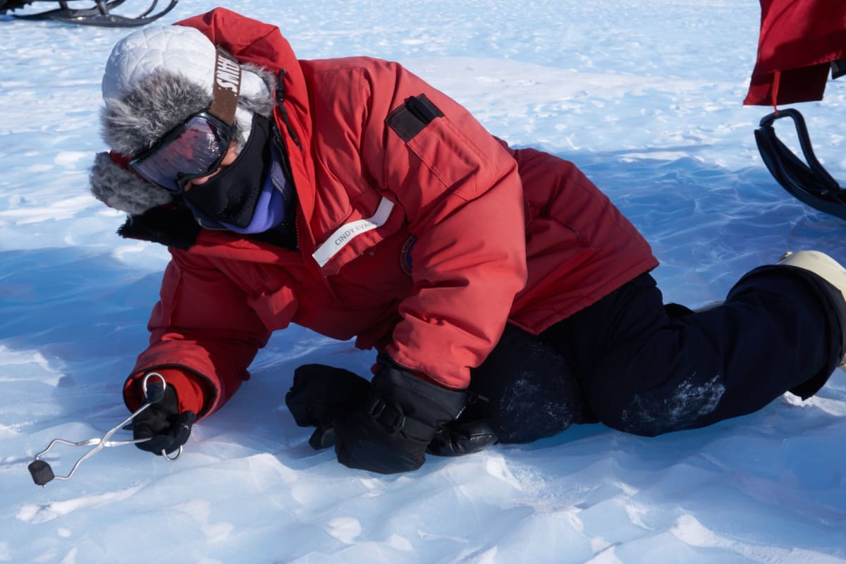 NASA's Cindy Evans Trains Astronauts for Lunar Science - Image 5