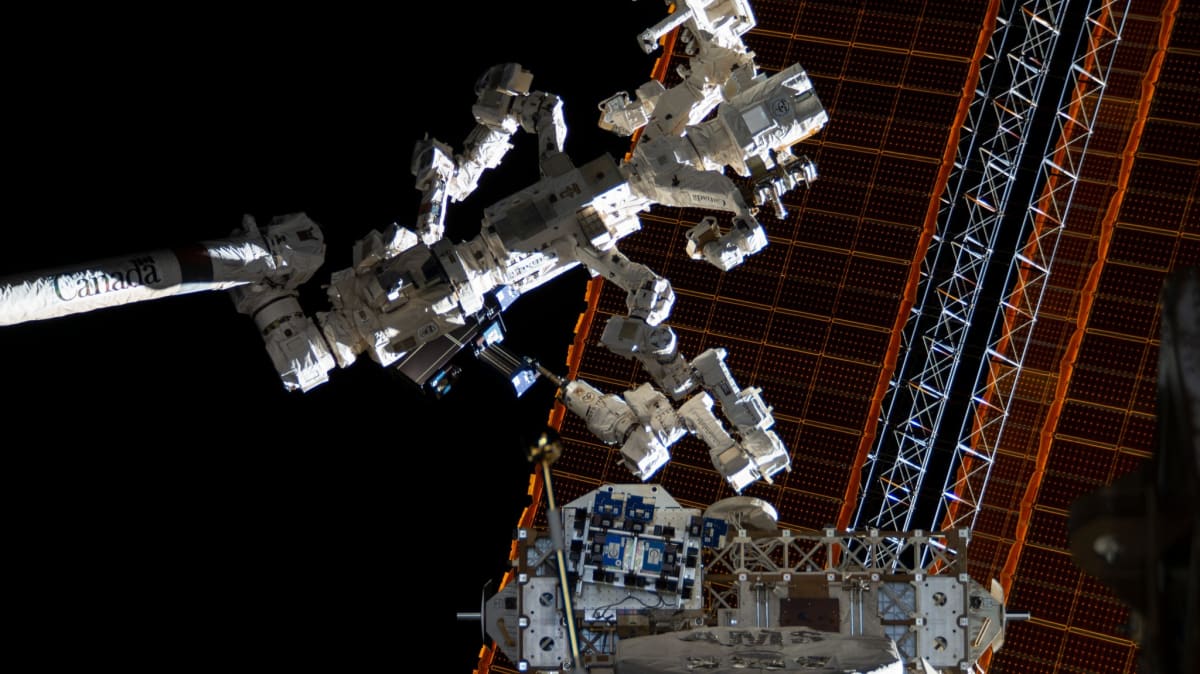 Space Station Research Delivers 6 Big Wins for 2025 - Image 4