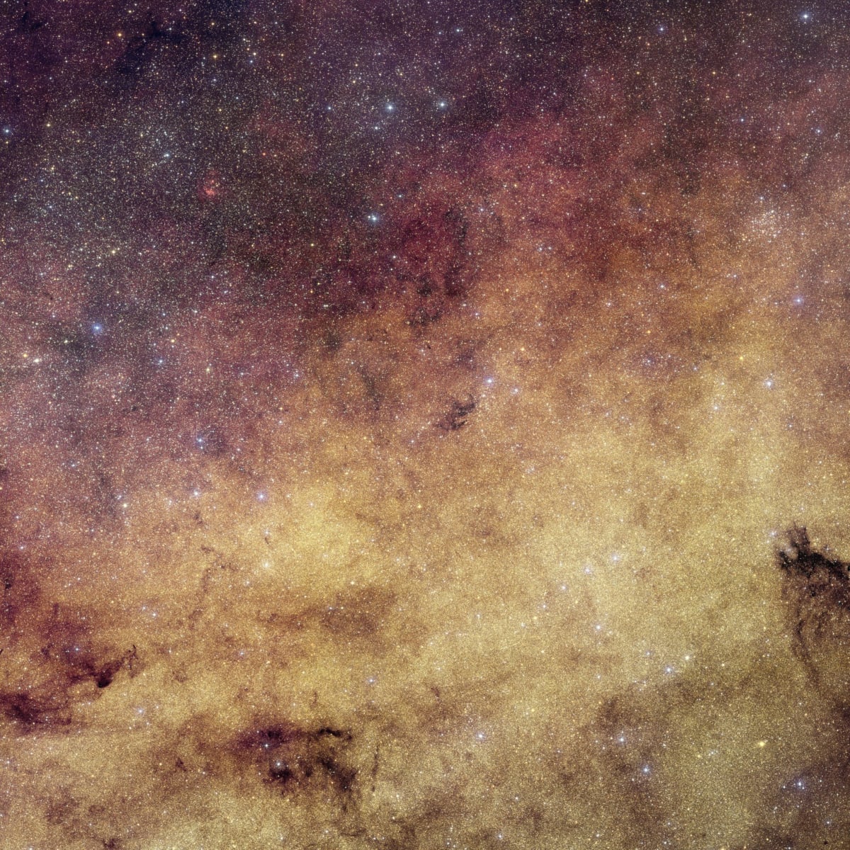 NASA Telescopes Team Up to Map Milky Way's Hidden Treasures - Image 4