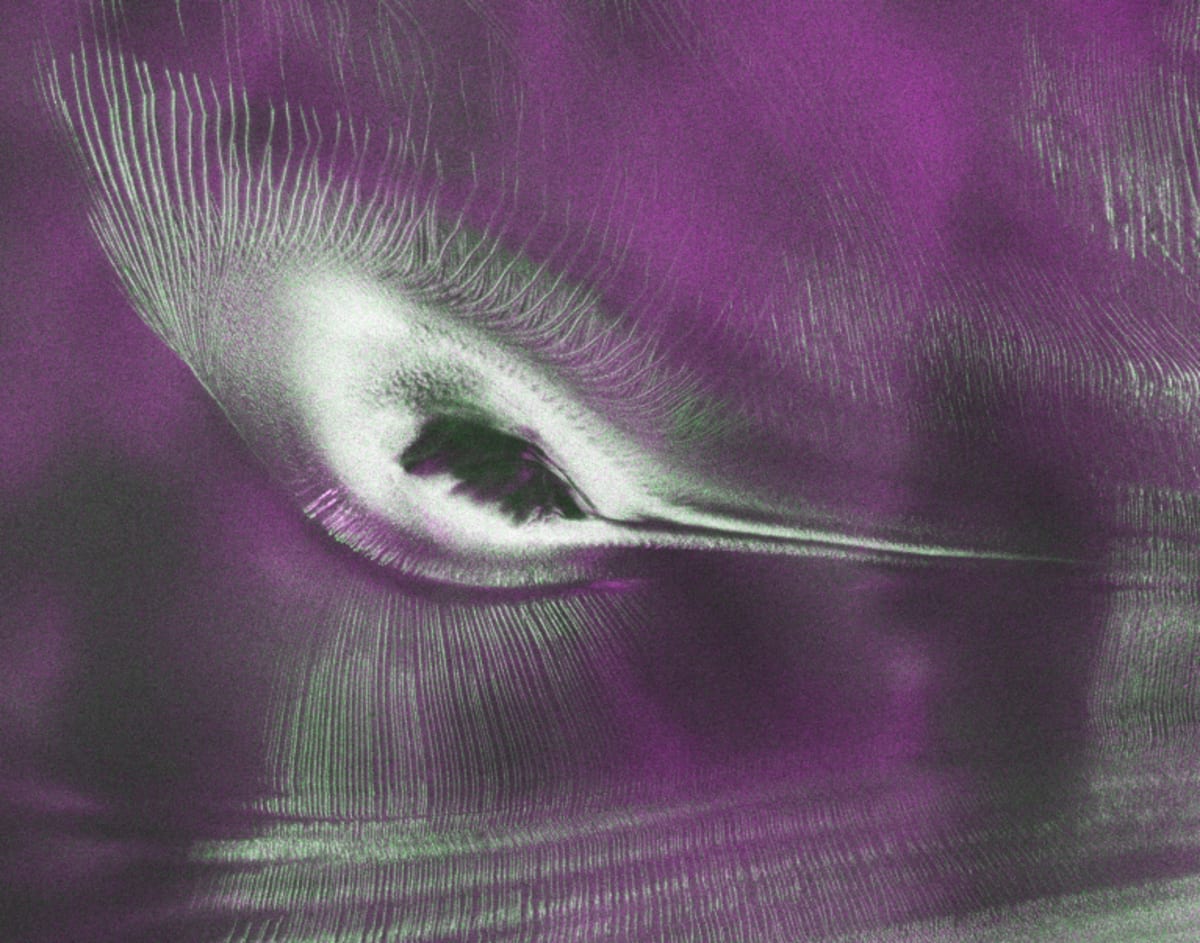 US-India Satellite Reveals Hidden 'Hummingbird' in Antarctica - Image 3