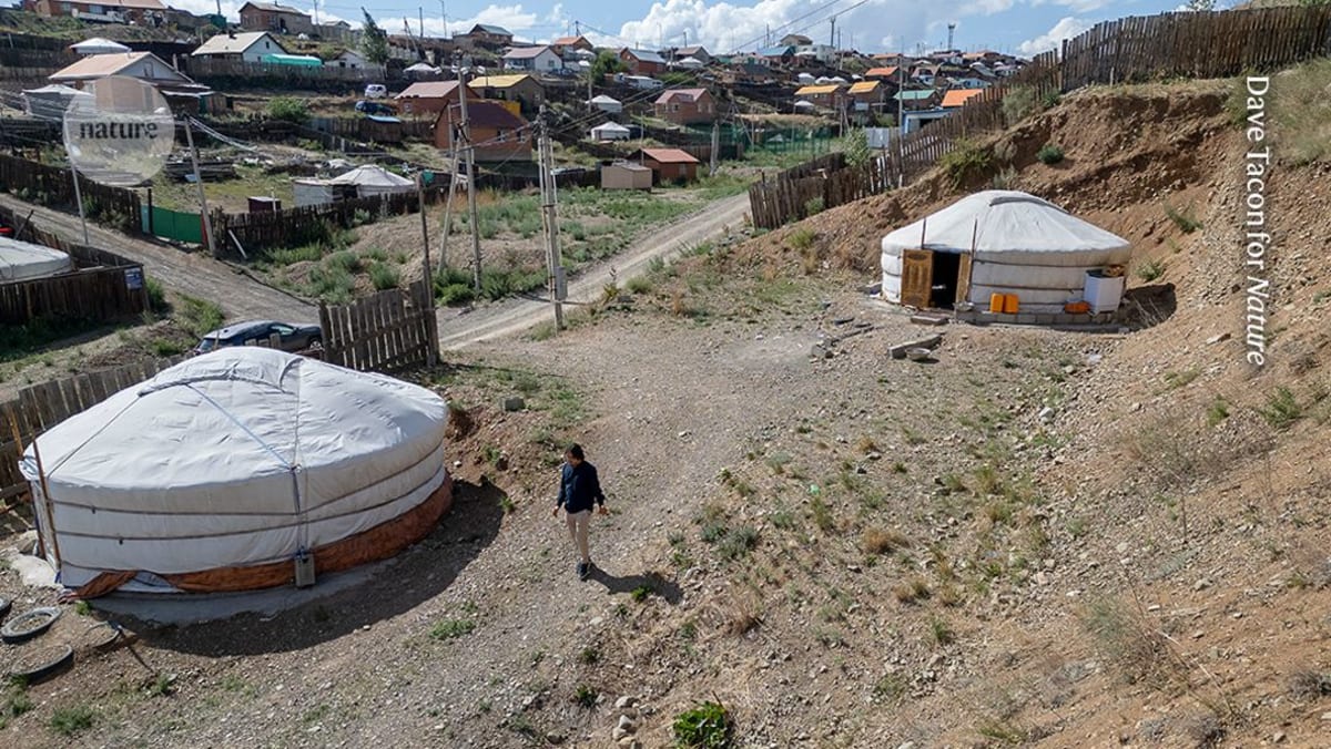 Solar Power Ends Coal Burning for 80 Families in Mongolia