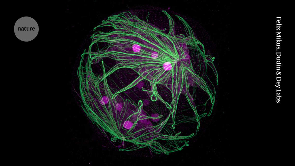 Satellite view showing Earth's rivers glowing as bright blue threads across continents