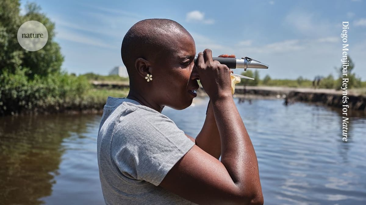 Mozambique Scientist Saves Mangroves With Carbon Credits