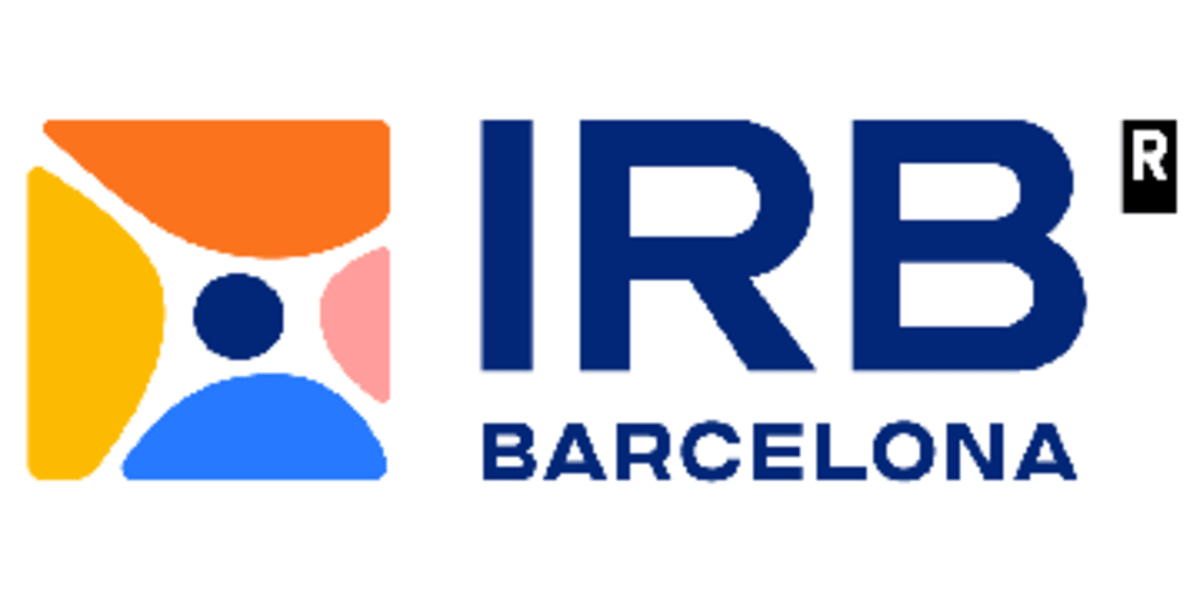 German Mathematician Wins Top Prize for Number Theory Breakthrough - Image 5