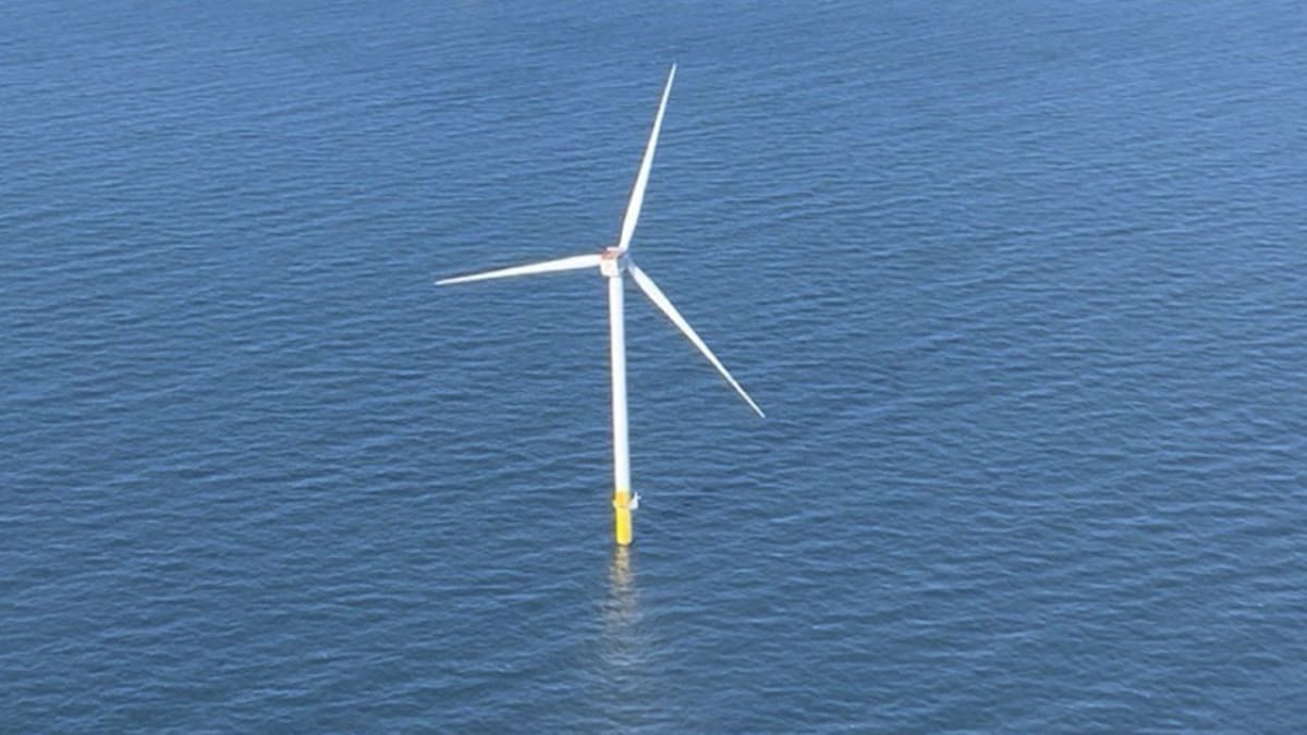Scientists Find Way to Protect Whales During Wind Farms - Image 3