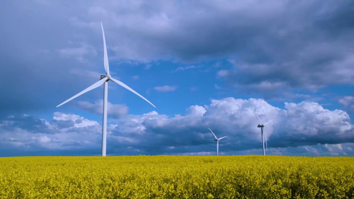 Octopus Energy Hits £1B Clean Power Milestone in France