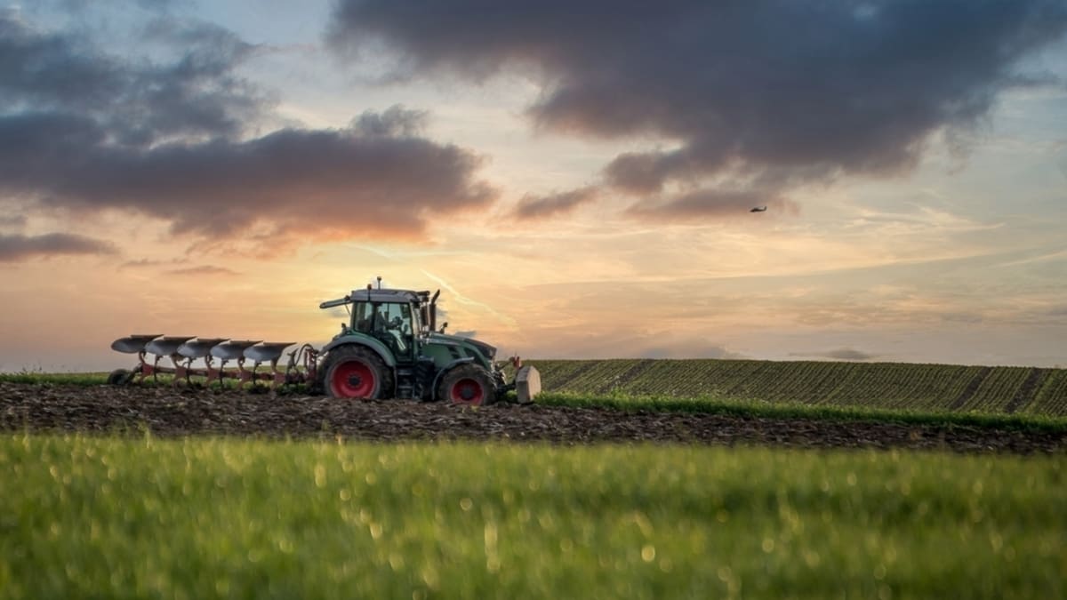$28M Investment Helps 800K Indian Farmers Beat Climate Risks