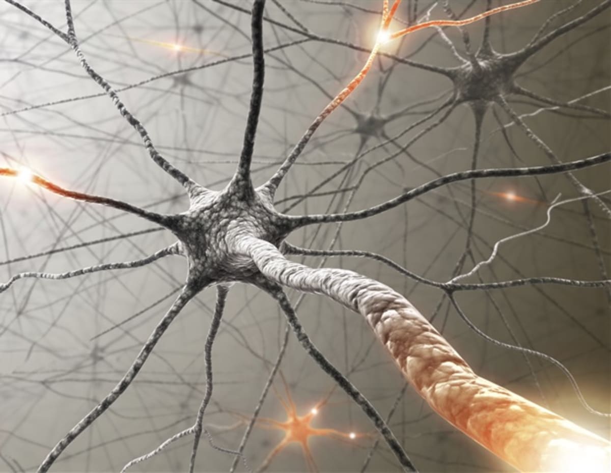 Scientists Find New Way to Predict Kids' Cancer Response