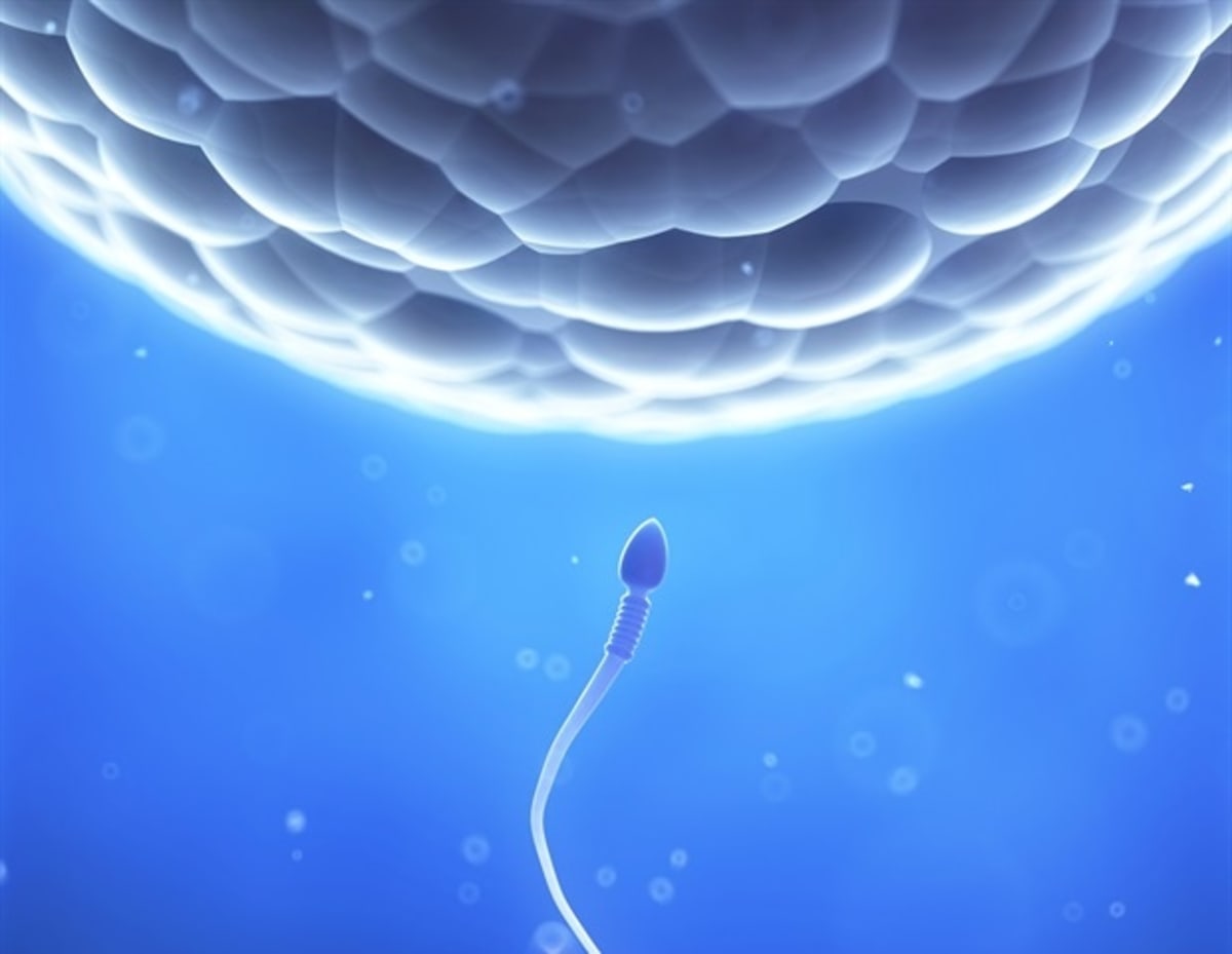 Microscopic illustration showing multiple sperm cells joined together in a coordinated group formation