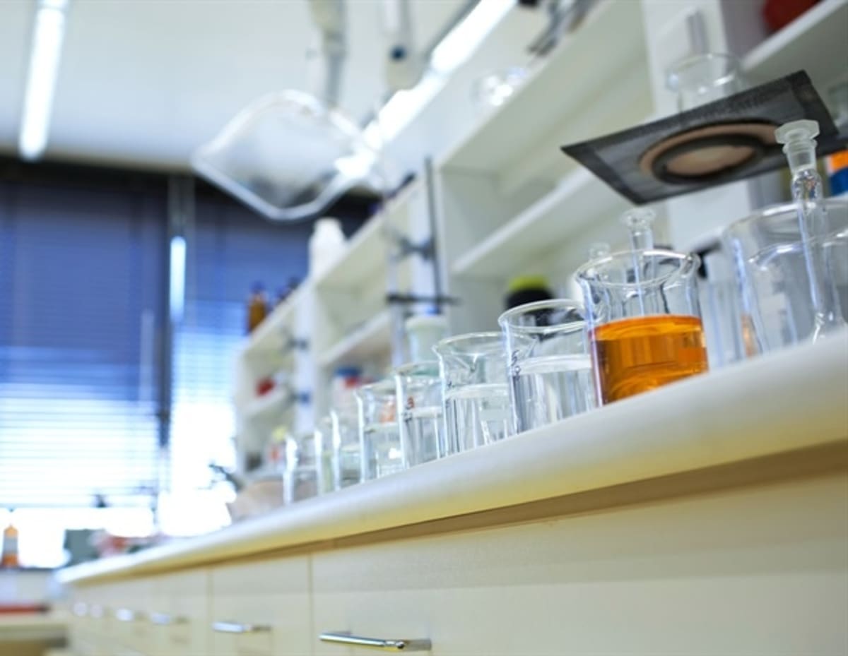 New Molecule Could End Celiac Diet Restrictions