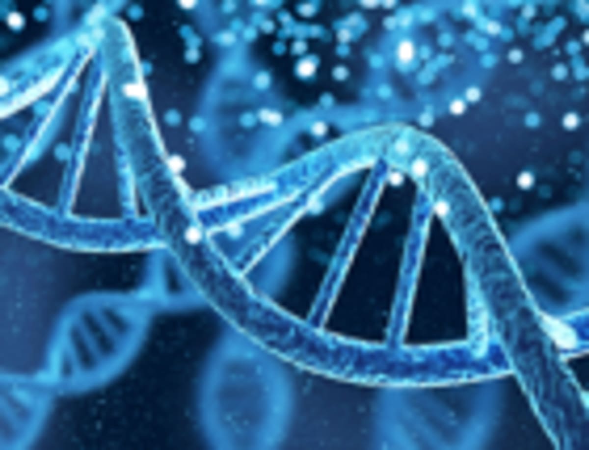Scientists Find Switch to Boost Ginseng's Healing Power - Image 4