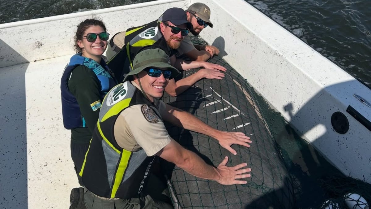 Florida Rescues Injured Manatee Mom and Her Loyal Baby