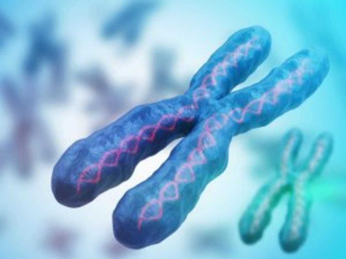 First Drug for Guillain-Barré Shows Success in Trials - Image 5