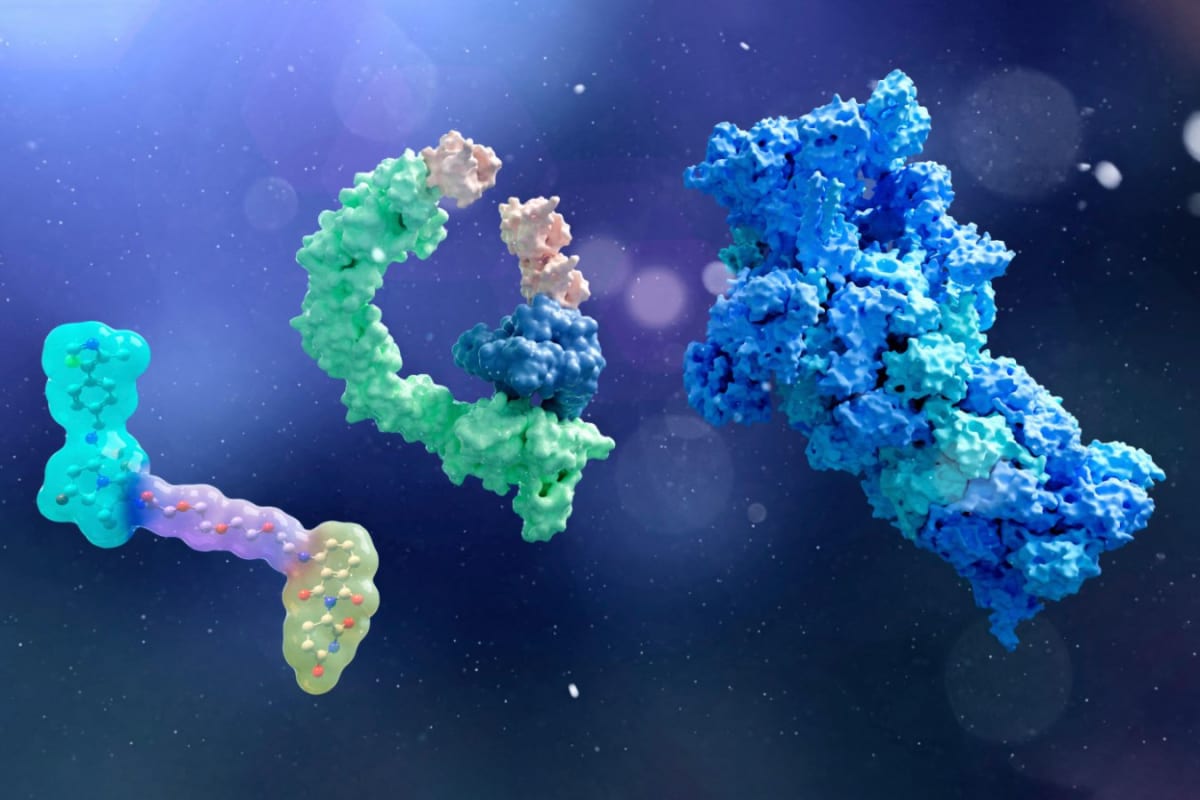 First Protac Drug Approved, Targets Untreatable Diseases