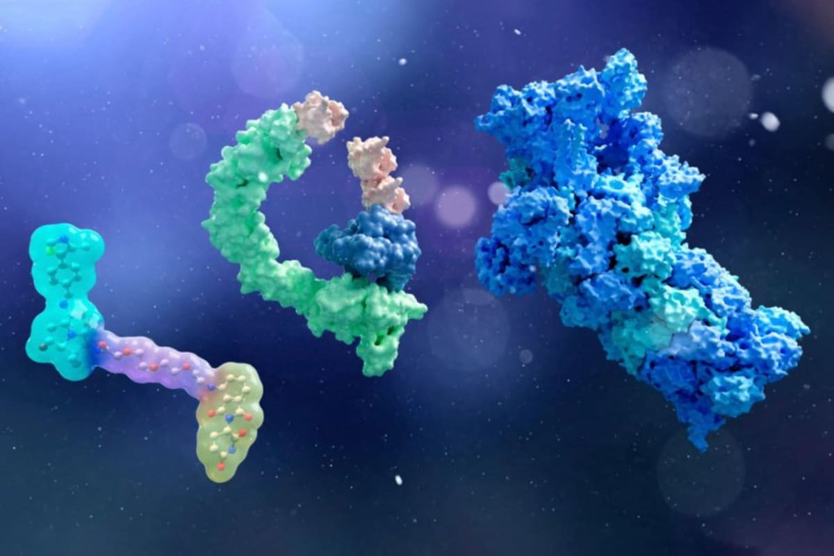 First Protac Drug Approved, Targets Untreatable Diseases - Image 2