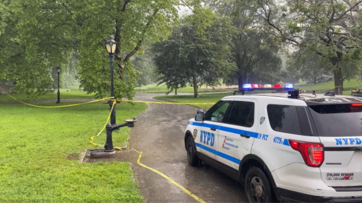 Bystanders Stop Attack in Central Park, Victim Safe - Image 2