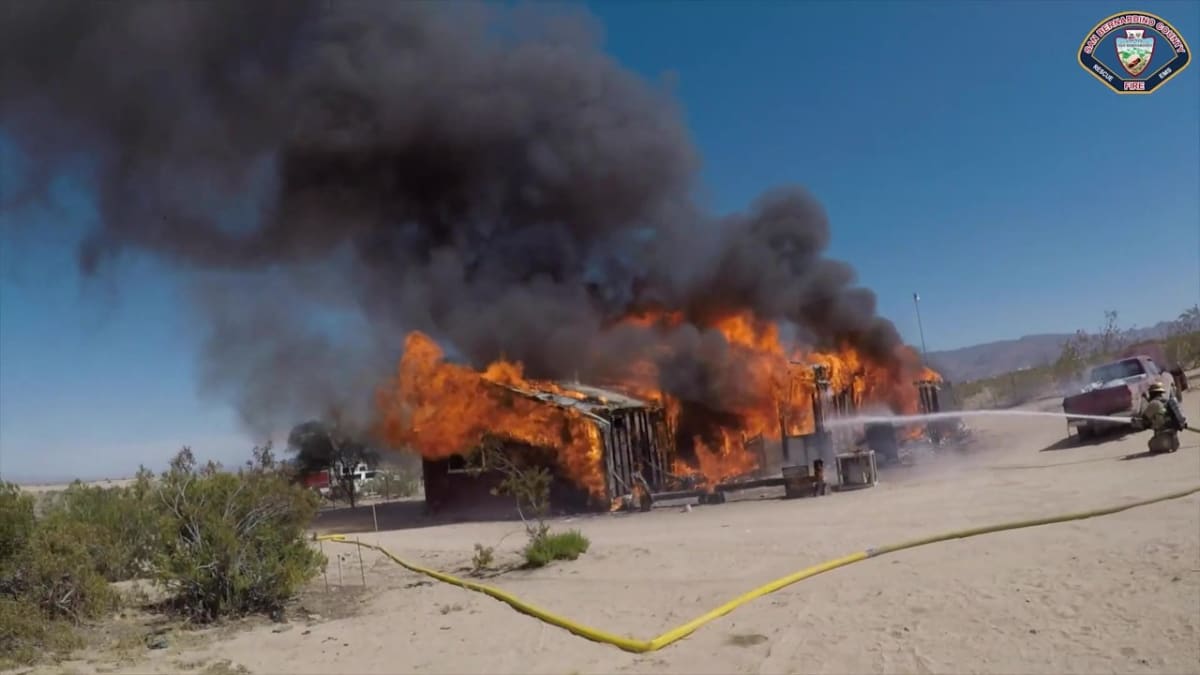 Orange County Firefighters Save Two Cats From Burning Home - Image 3