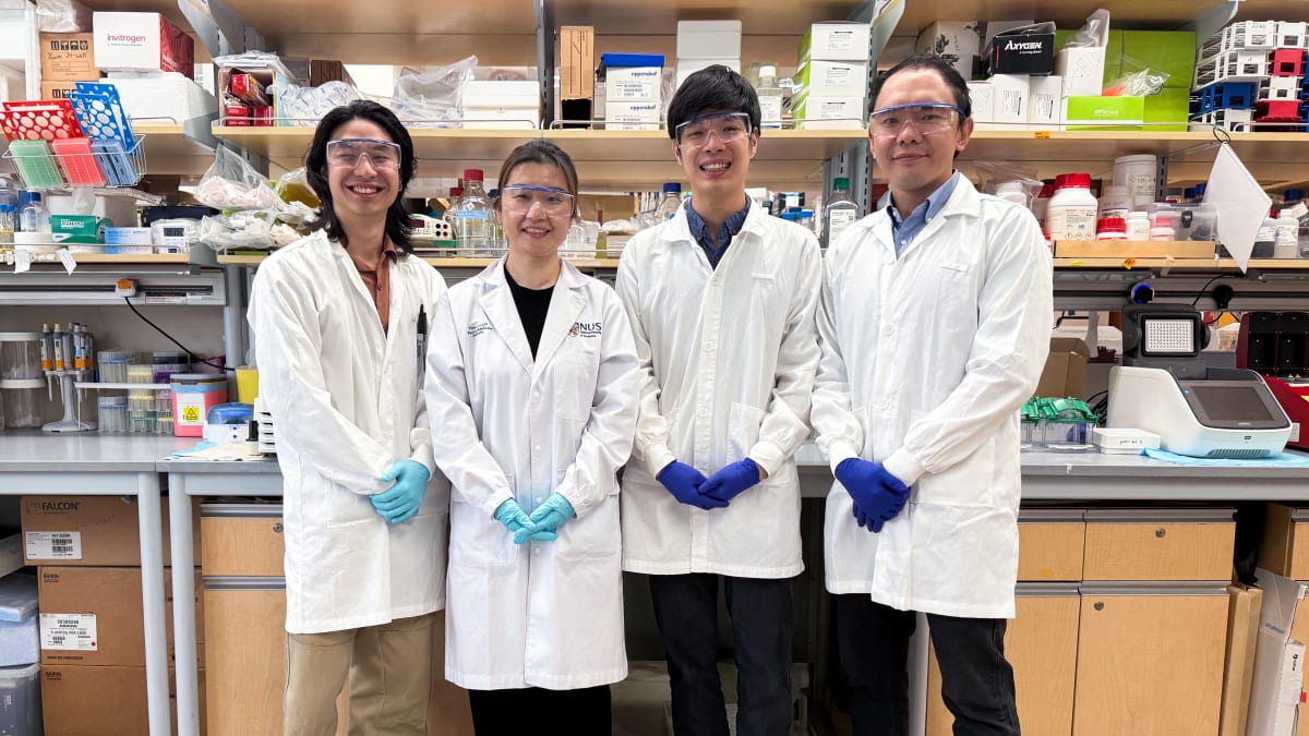 Research team of four scientists standing in laboratory at Cancer Science Institute Singapore