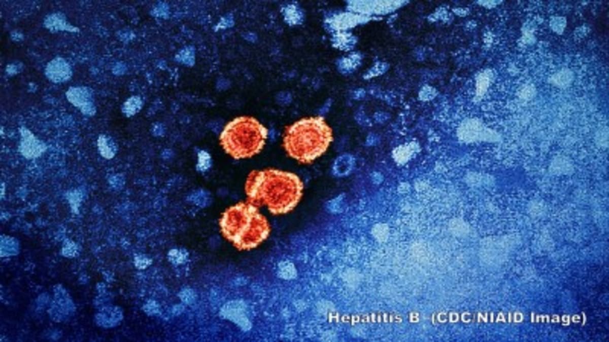Johns Hopkins Gets $24M to Cure Hepatitis B