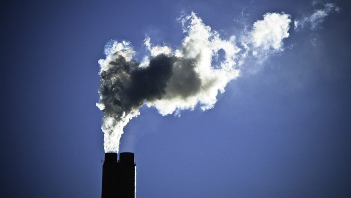 Newton's Building Emissions Fund Helps City Go Green