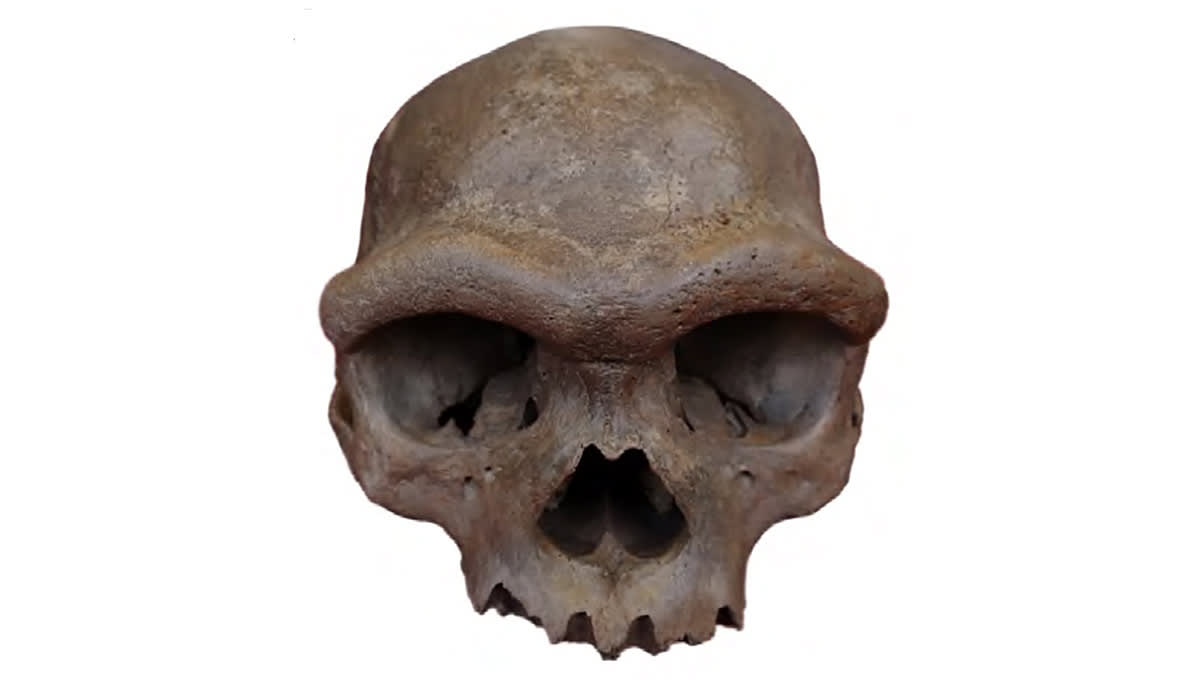 Scientists Give Denisovans a Face After 15 Years of Mystery - Image 2