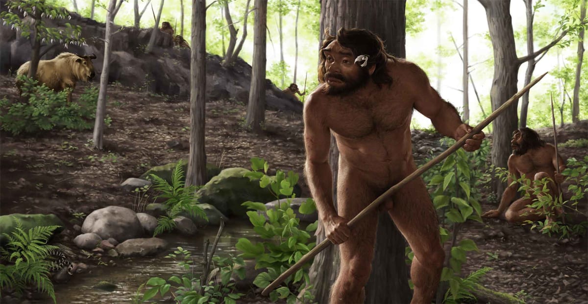 Artist reconstruction of Denisovan face showing robust features and sturdy jaw structure