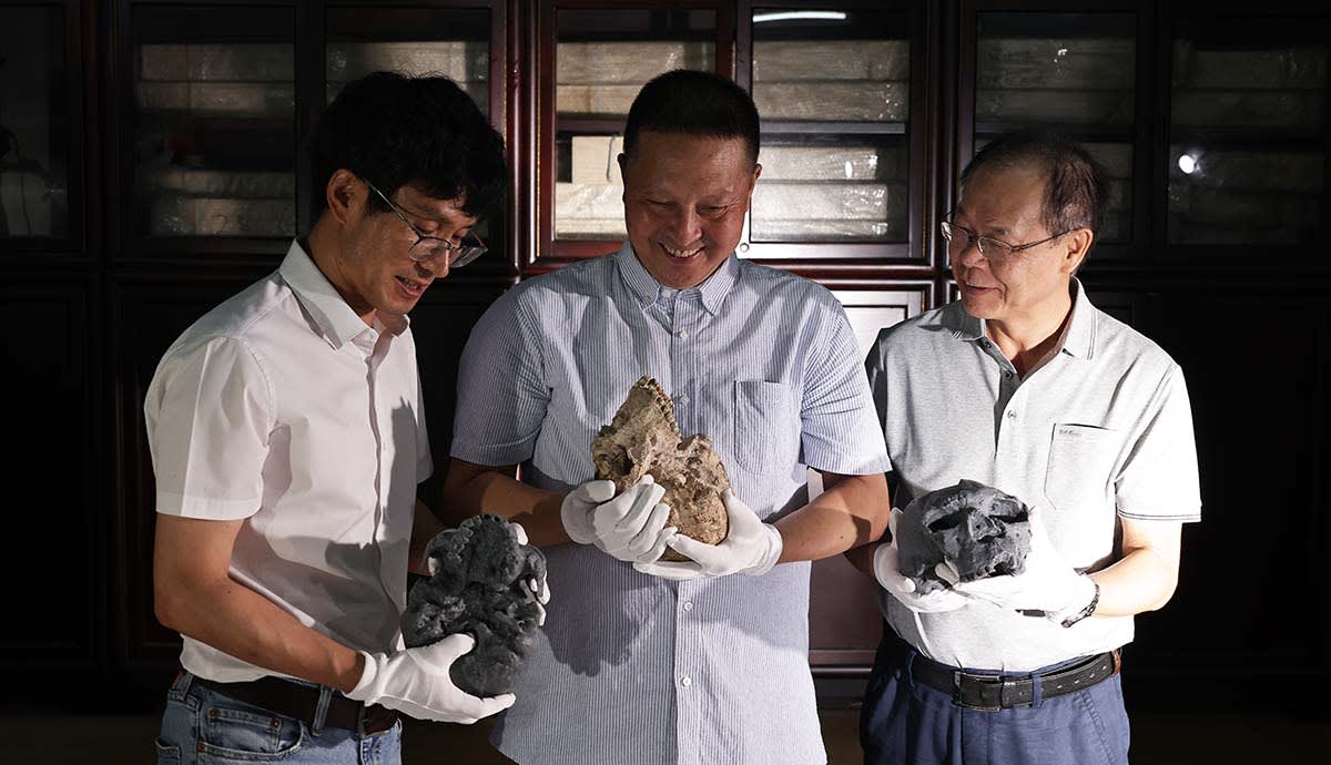 Scientists Give Denisovans a Face After 15 Years of Mystery - Image 3