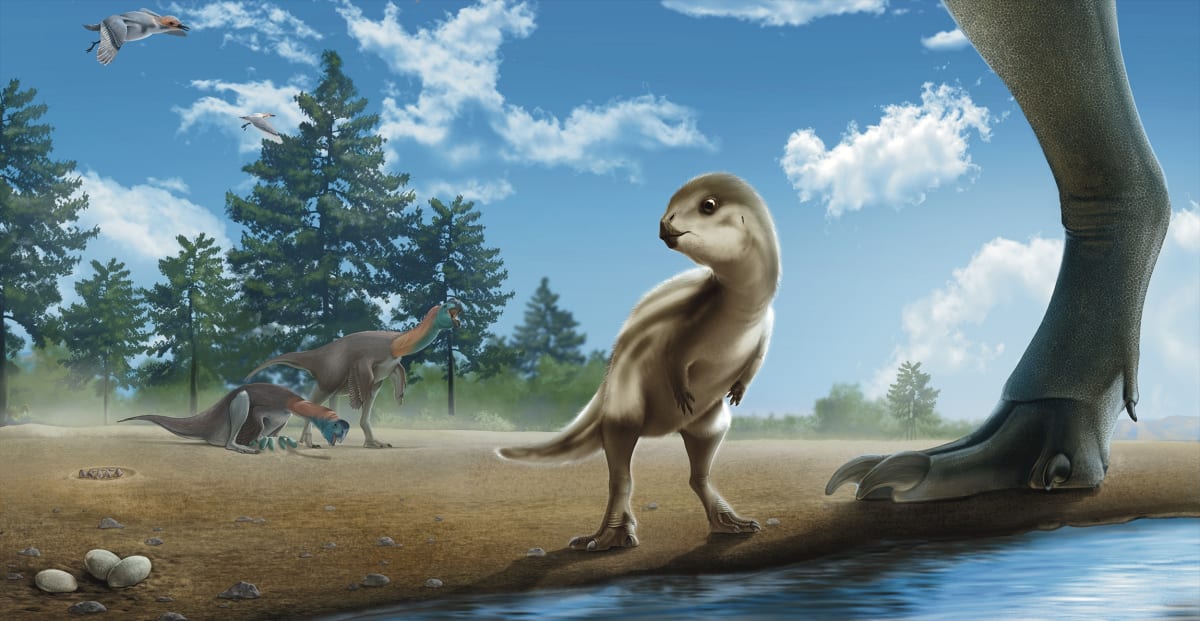 South Korea Names First Dinosaur in 15 Years After Cartoon