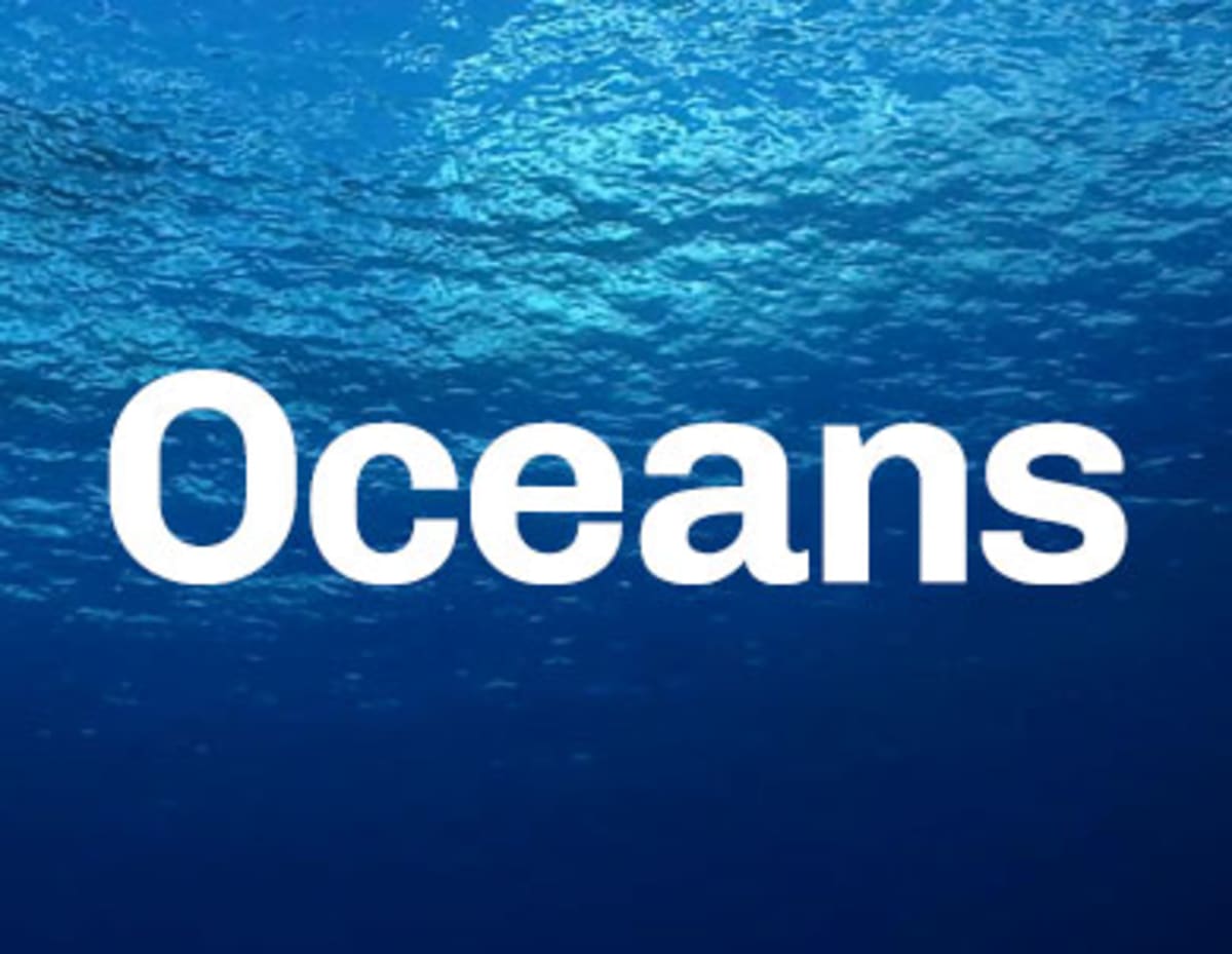 China Fossil Site Pushes Complex Life Back 4 Million Years - Image 4