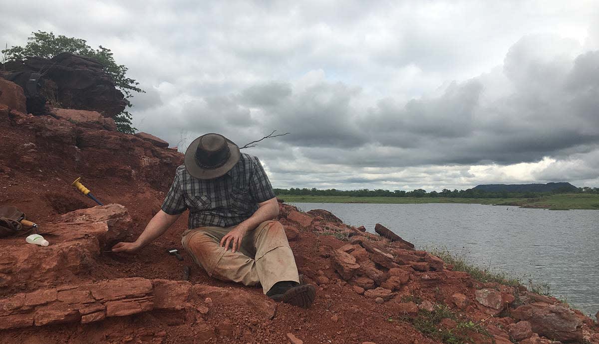 Zimbabwe's Fifth Dinosaur Found by Scientists on Lake Kariba - Image 2