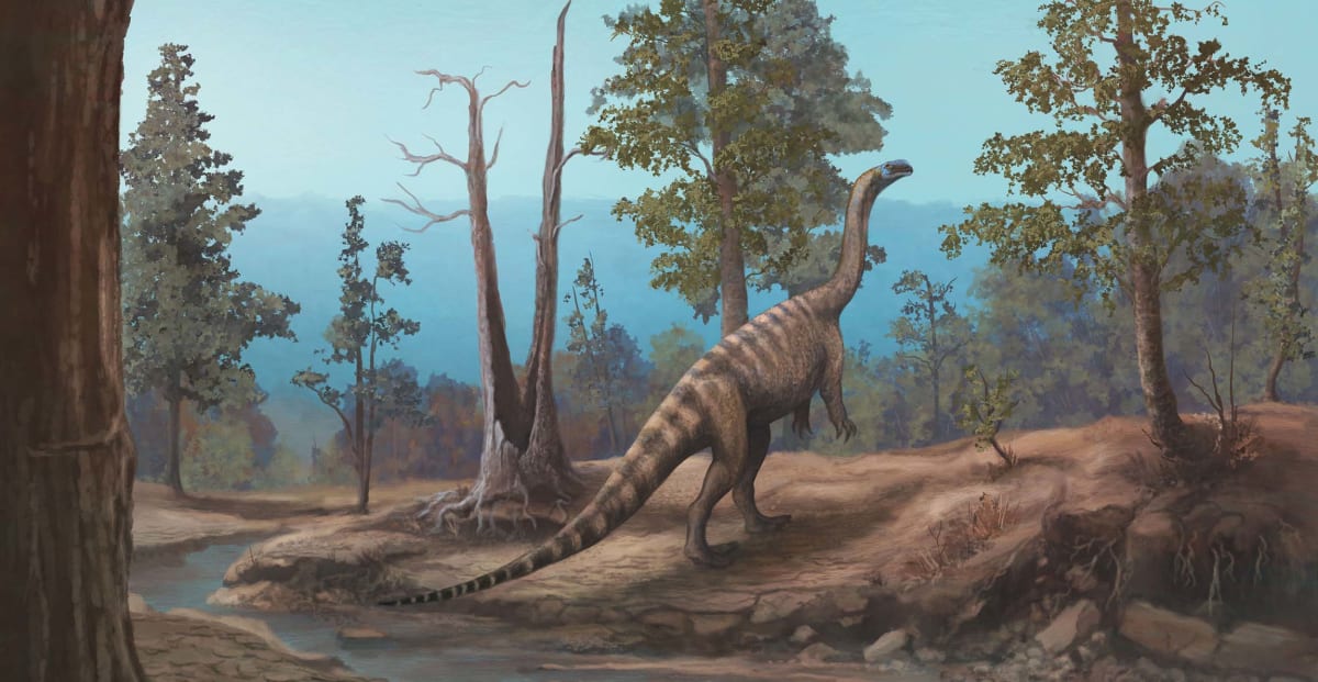 Zimbabwe's Fifth Dinosaur Found by Scientists on Lake Kariba