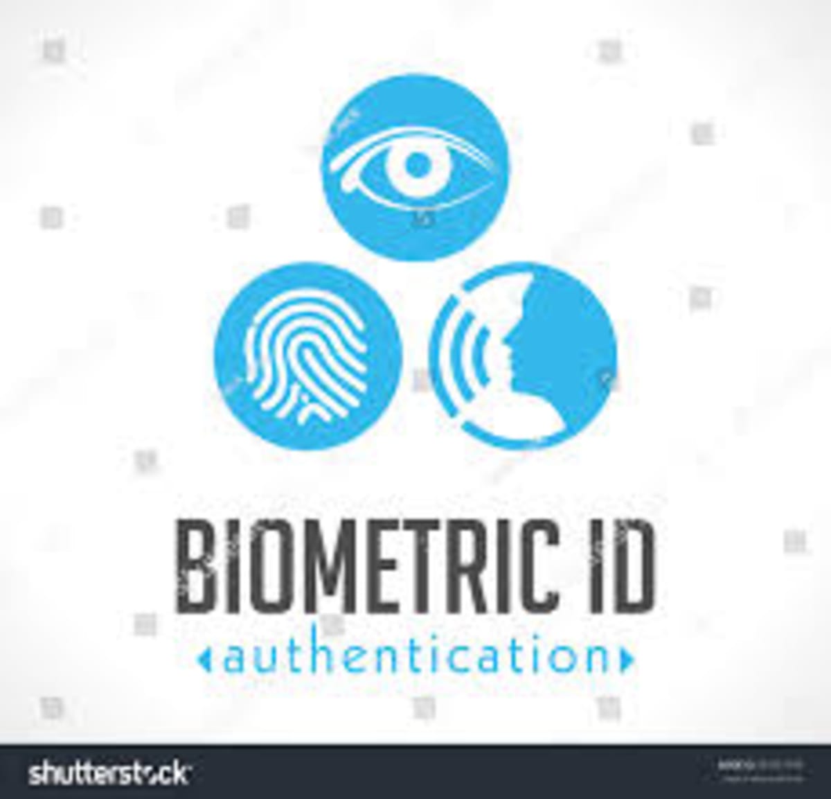 Nigerian Startup Powers Hospitals, Factories With AI Grid - Image 4