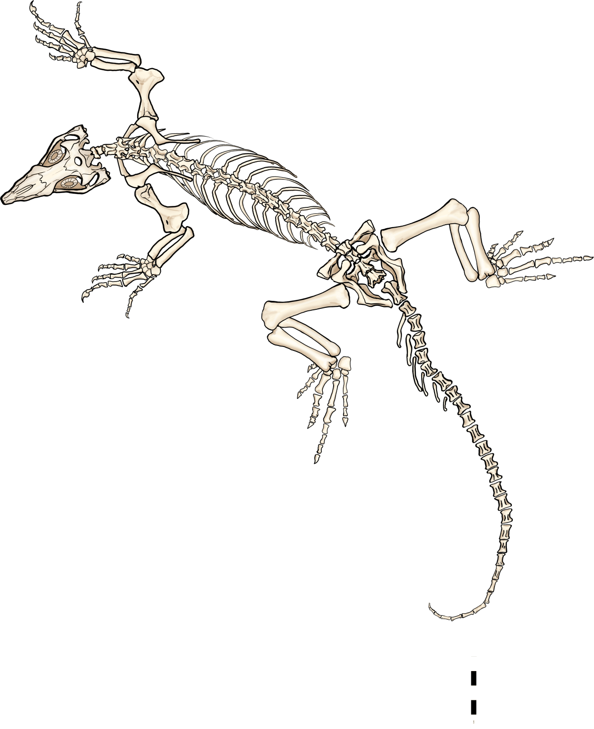 Artistic illustration of ancient varanopid reptile basking on tropical shoreline millions of years ago