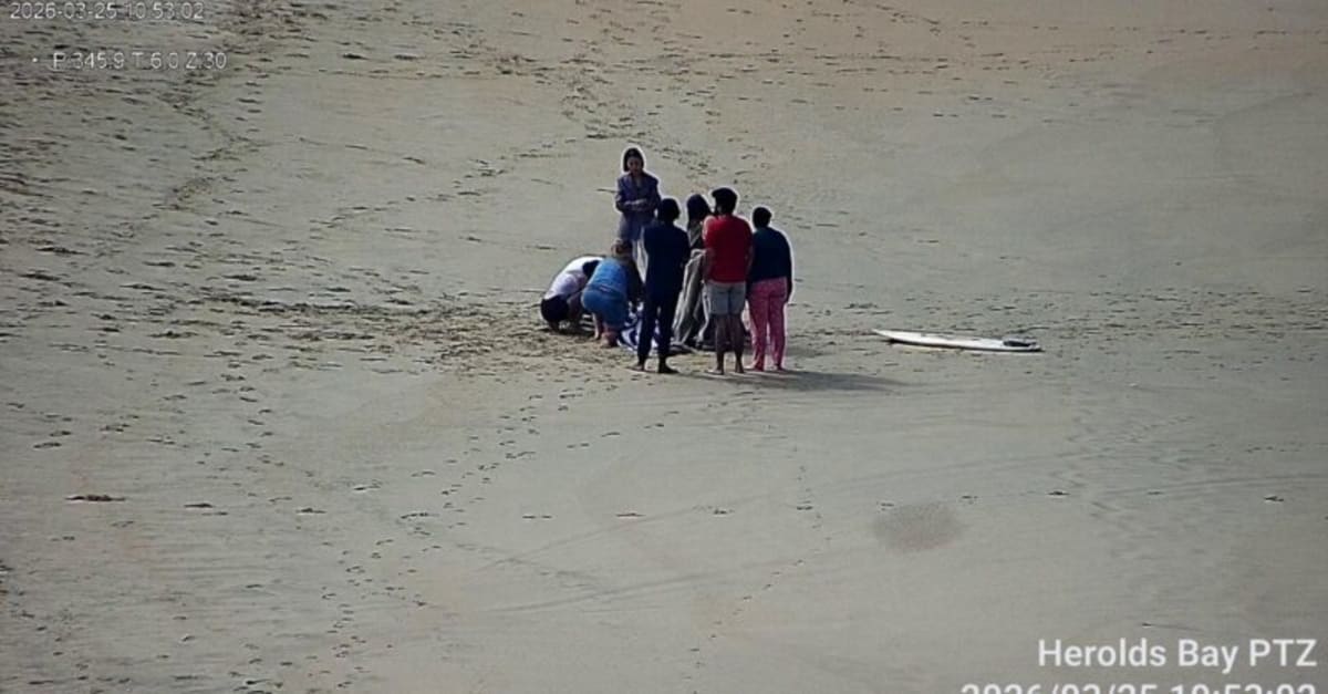 Surfer on Vacation Saves Drowning Student at Herolds Bay - Image 2