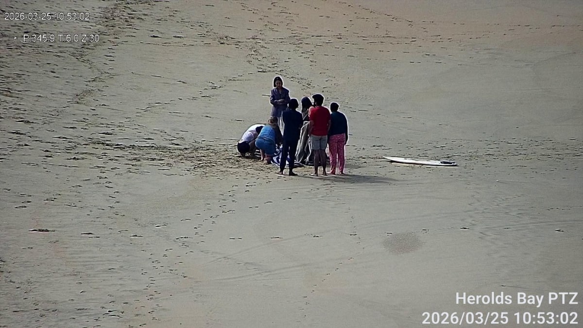 Surfer on Vacation Saves Drowning Student at Herolds Bay