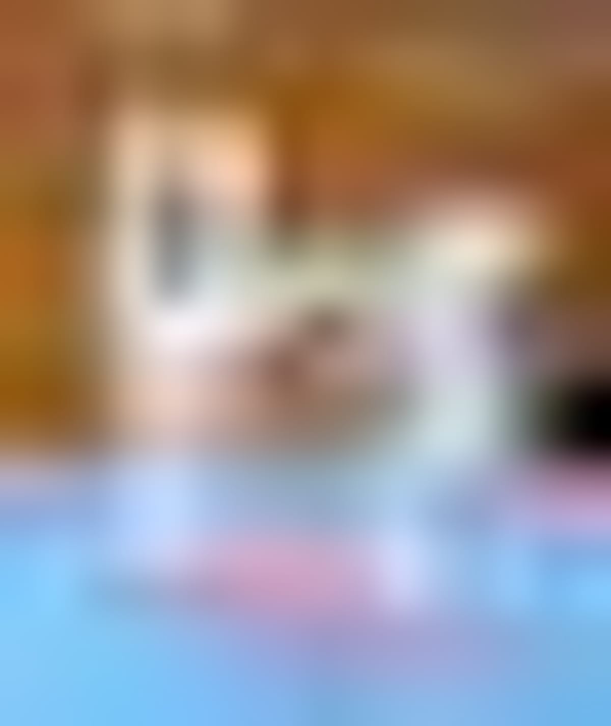 New Zealand Karate Club Wins Big, Eyes Australia Trip - Image 2