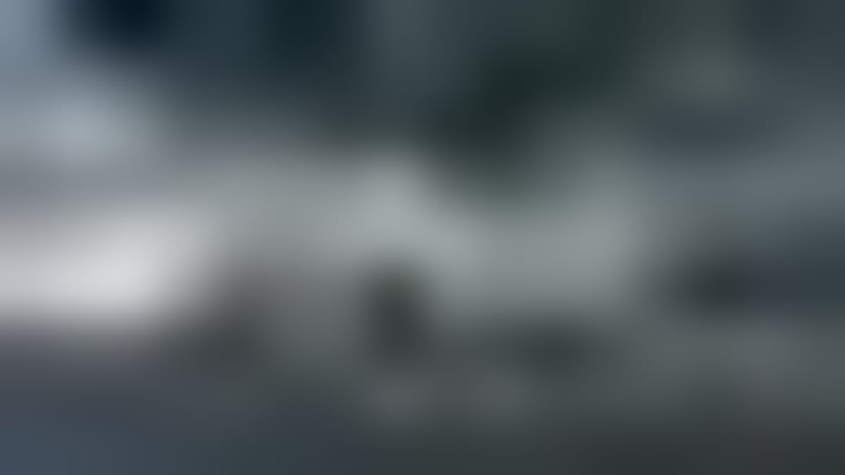 New Zealand's First East Coast Drift Park Wows Thousands - Image 4