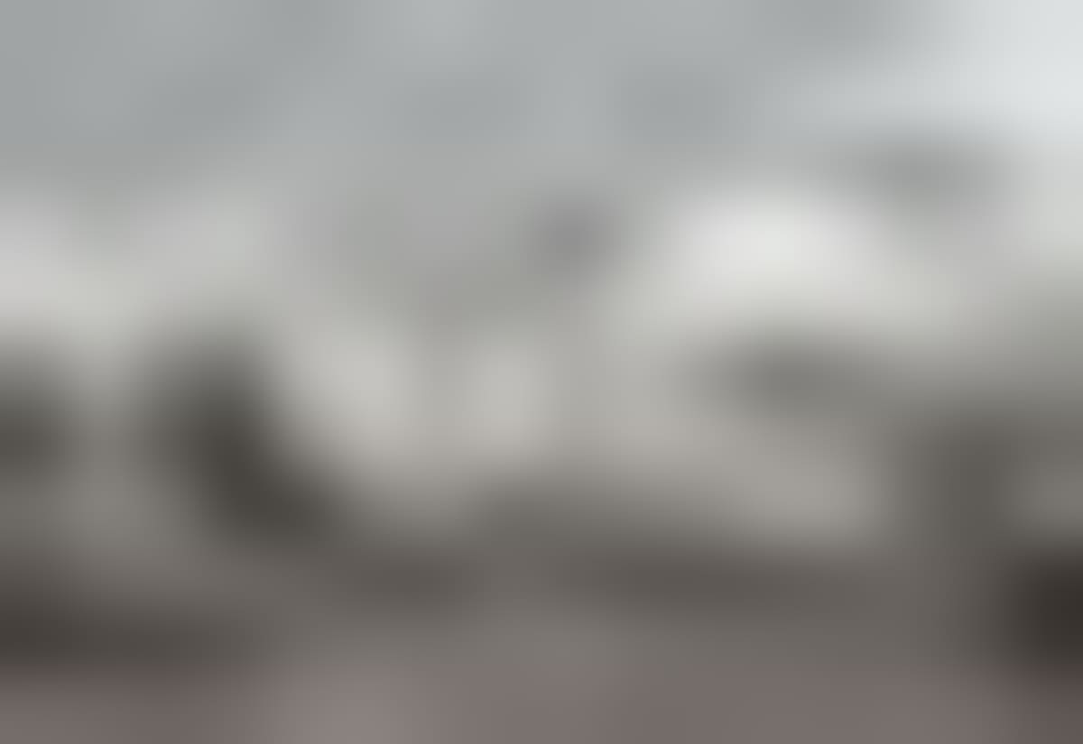 Air New Zealand Expands Digital ID After Successful Trial - Image 3