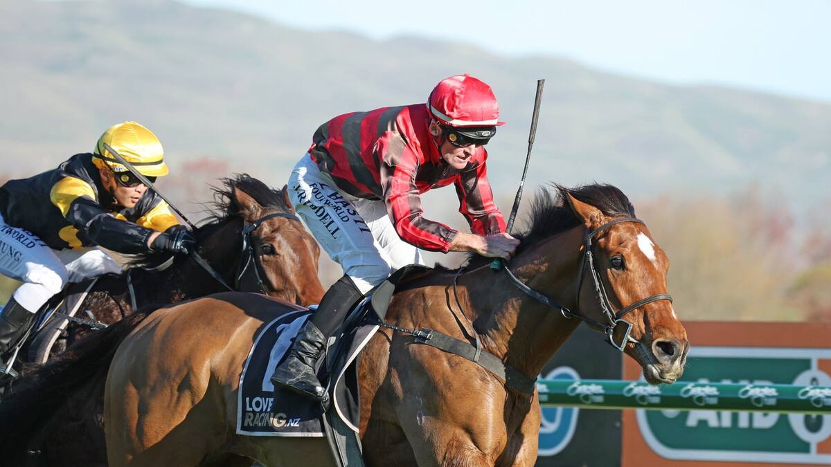 New Zealand Horse Breeders Turn Family Legacy Into Wins