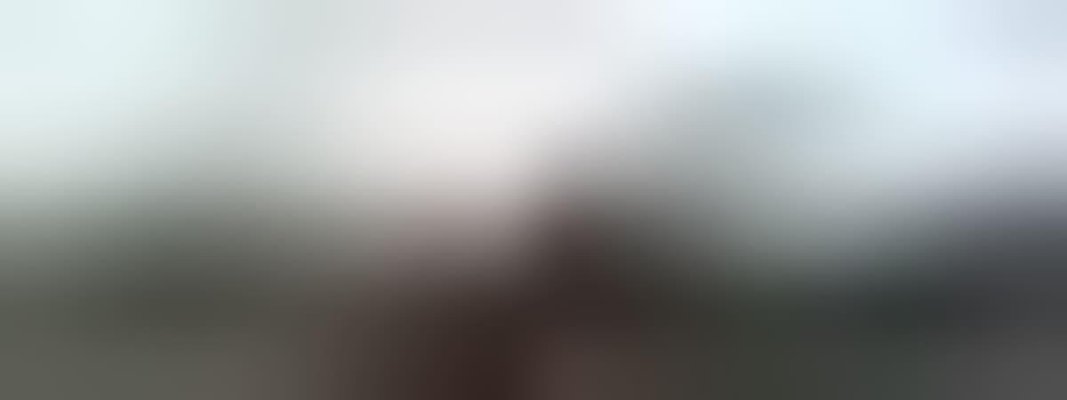 New Zealand's First East Coast Drift Park Wows Thousands - Image 2