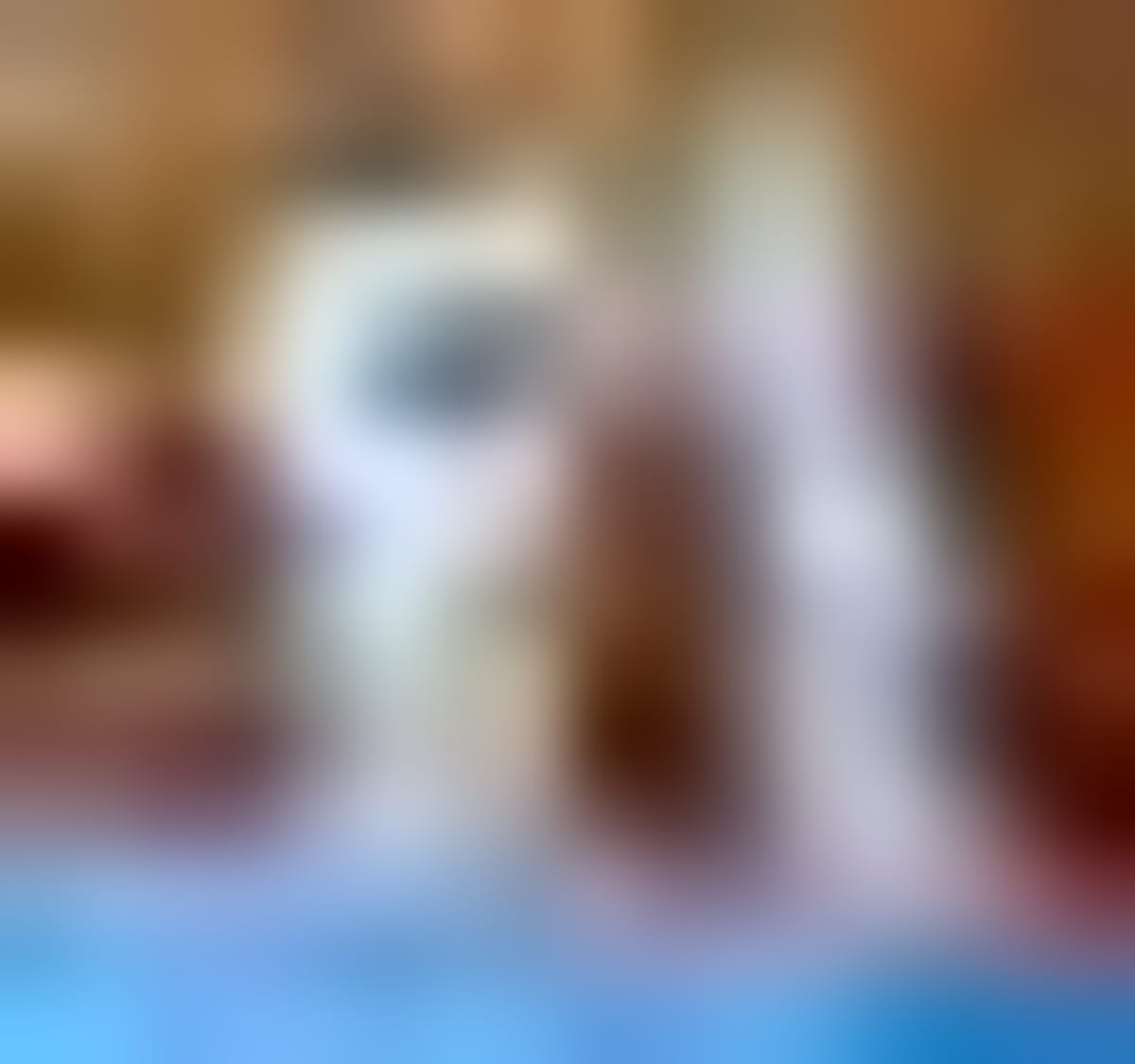 New Zealand Karate Club Wins Big, Eyes Australia Trip - Image 4