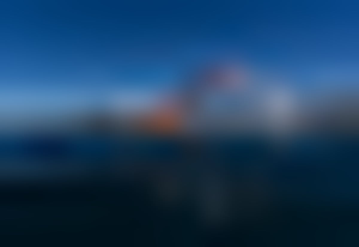 Swimmer Completes 1,325 km to End Harmful Fishing Practice - Image 2