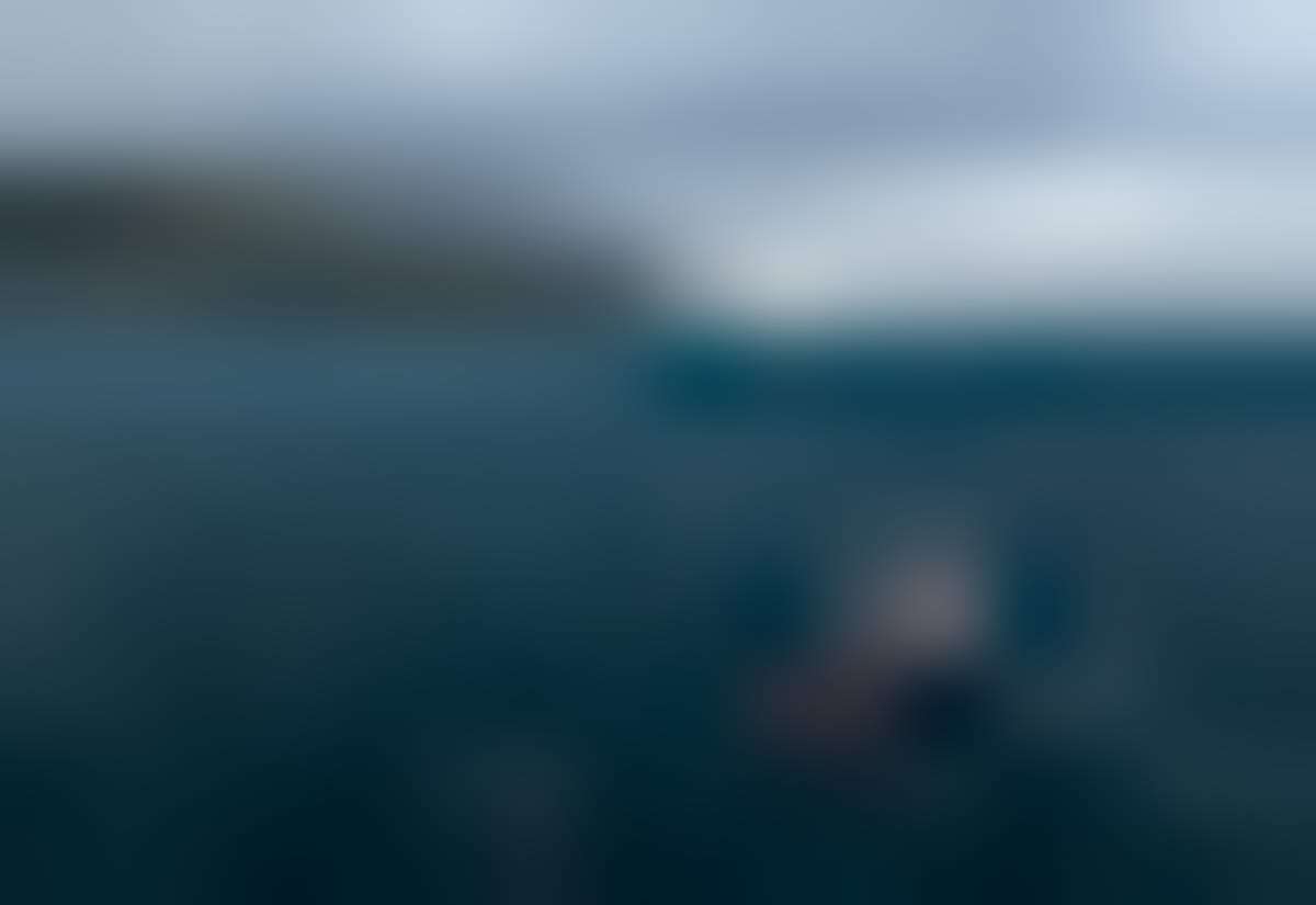 Swimmer Completes 1,325 km to End Harmful Fishing Practice - Image 3