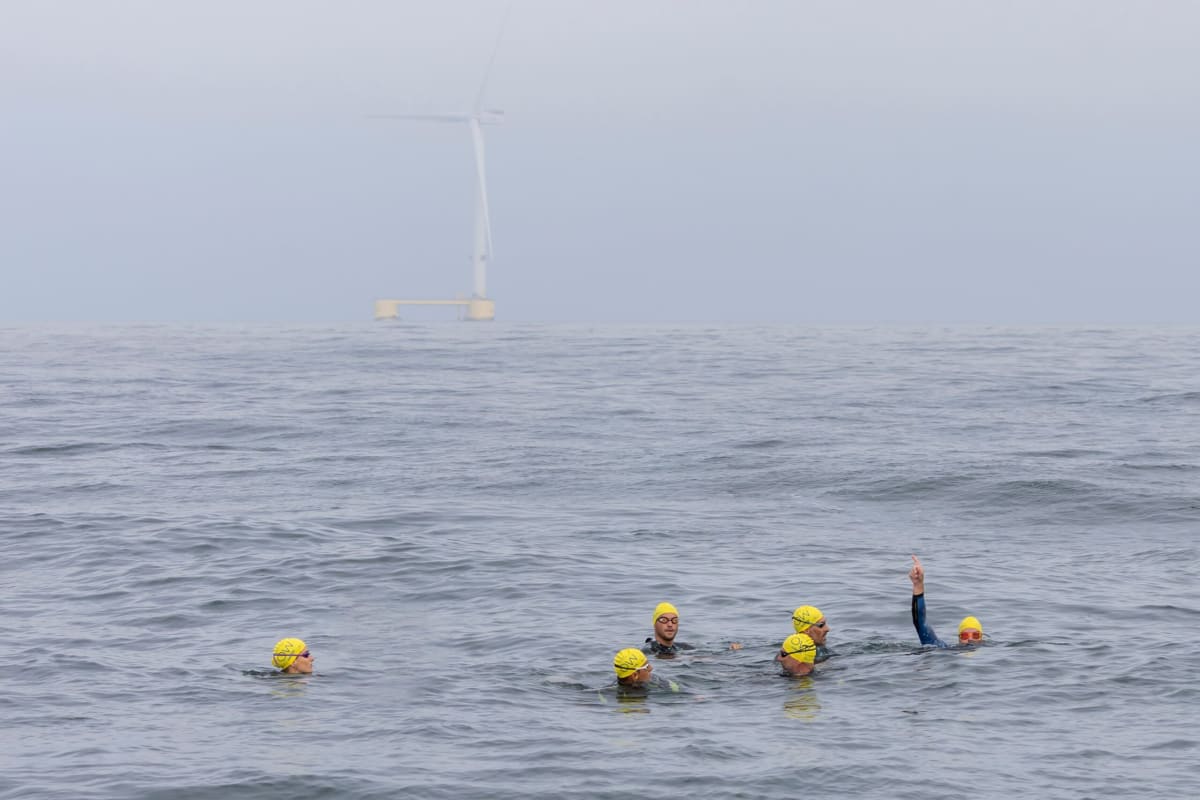 ** Swimmers in open water near offshore wind turbines during historic Portuguese challenge