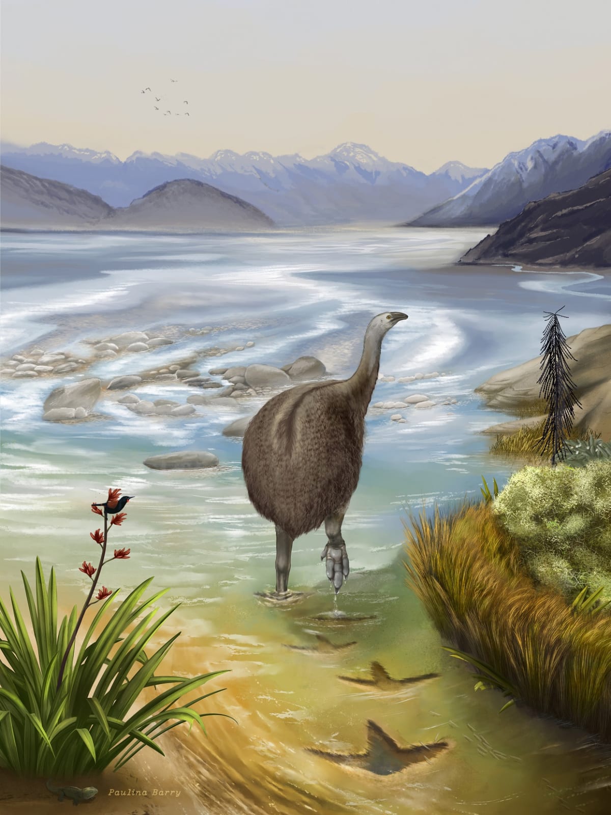 Scientists Hatch Chickens in Artificial Eggs for Moa Revival - Image 2